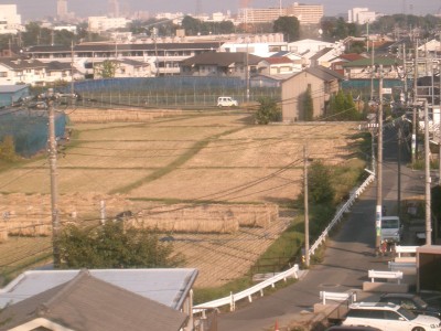 c0112172_0334398.jpg