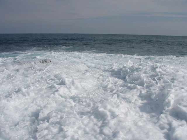 e0125483_2285080.jpg