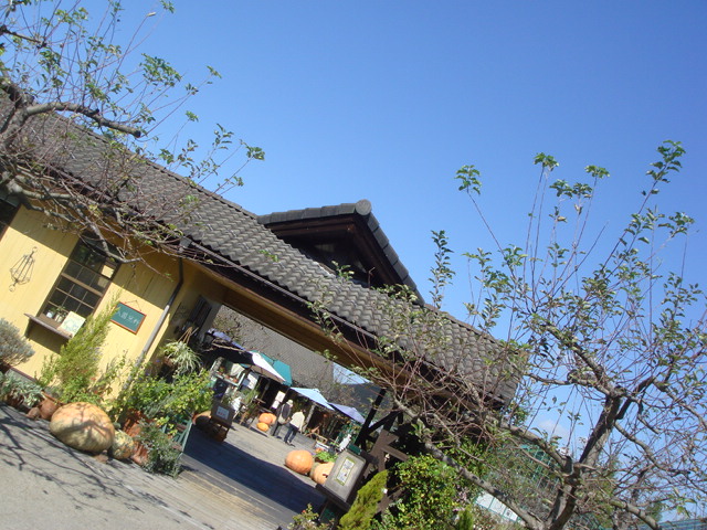 a0076187_184492.jpg