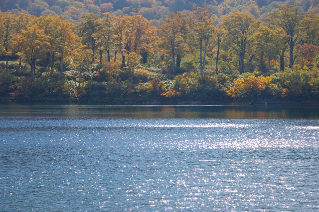 c0134295_032369.jpg