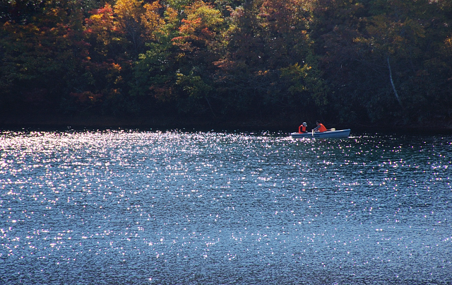c0134295_032790.jpg