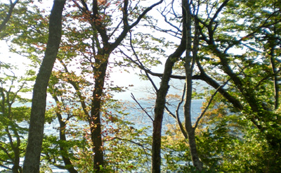 d0129295_1585581.jpg