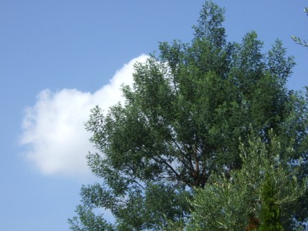 b0087400_0304144.jpg