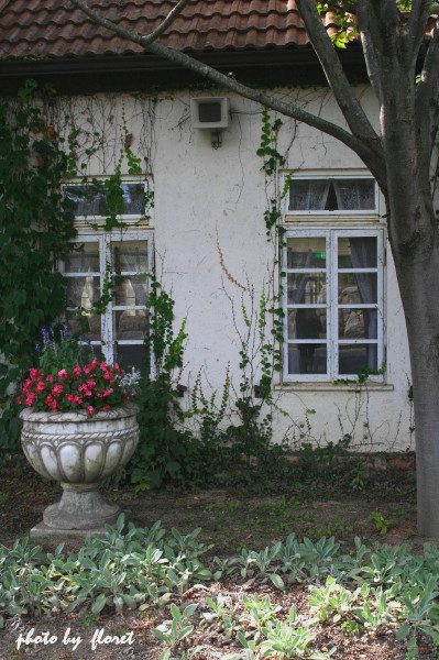 f0083400_1733582.jpg