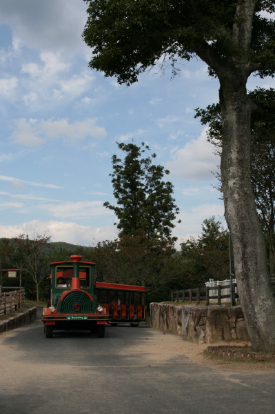 f0083400_17362758.jpg