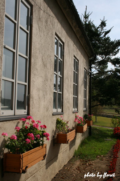 f0083400_17391891.jpg