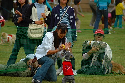 d0023323_13973.jpg