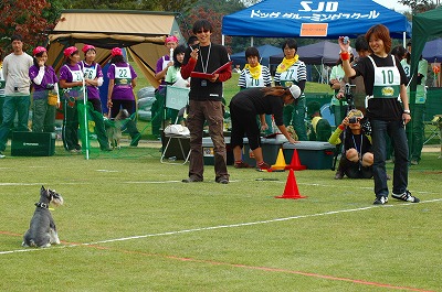 d0023323_1405645.jpg