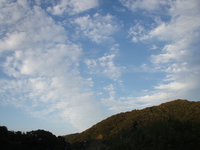 f0103126_20473047.jpg