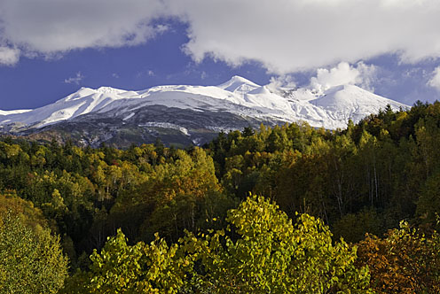 e0025030_16352766.jpg