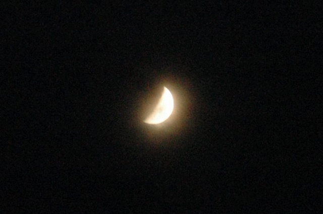 a0017634_6502938.jpg