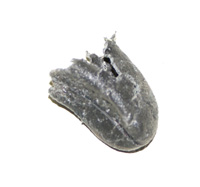 c0132438_2222546.jpg