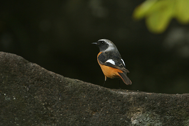 e0066638_8223730.jpg