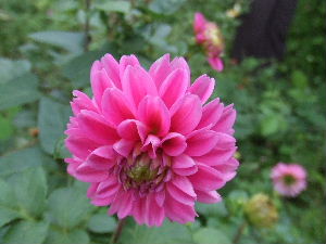 a0054240_20123515.jpg
