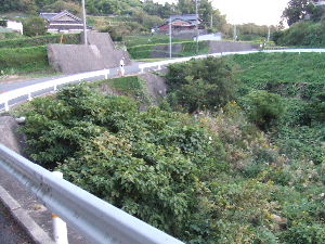 a0054240_20521816.jpg