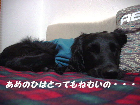 f0018144_15364136.jpg