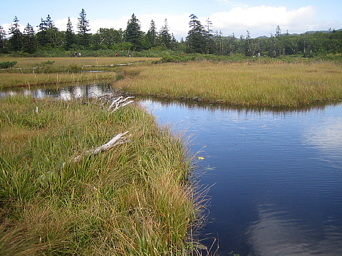 b0075046_2236571.jpg