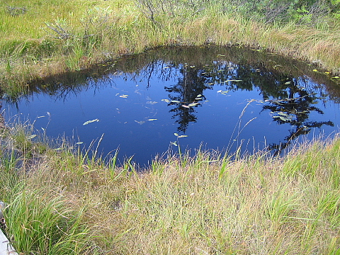 b0075046_22374344.jpg