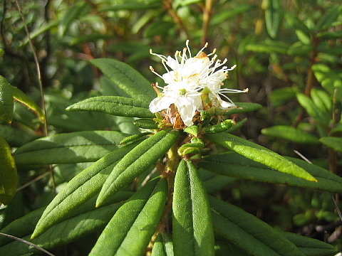 b0075046_2238154.jpg