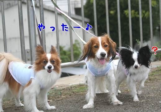 d0013149_0171998.jpg