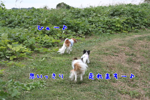 d0013149_0211248.jpg