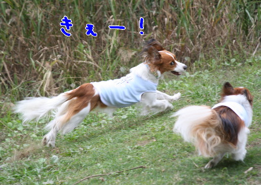 d0013149_026850.jpg