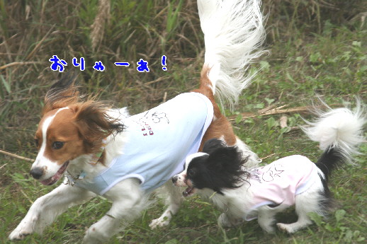 d0013149_051288.jpg