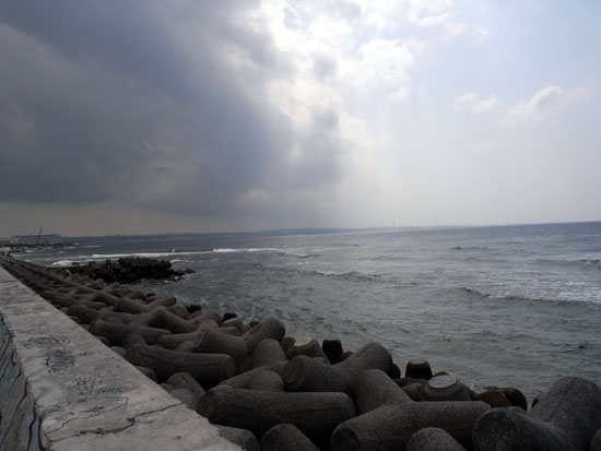 b0049152_17523220.jpg