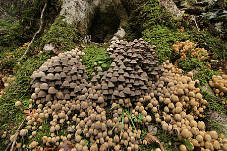 e0113053_22265651.jpg