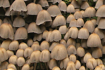 e0113053_22273960.jpg