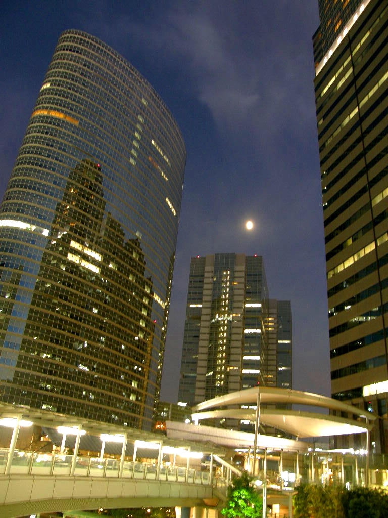 e0064158_20345446.jpg