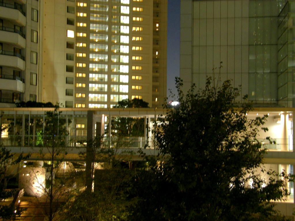 e0064158_20422226.jpg
