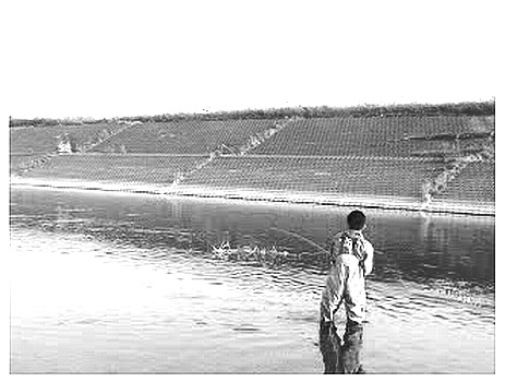 f0084561_12213267.jpg