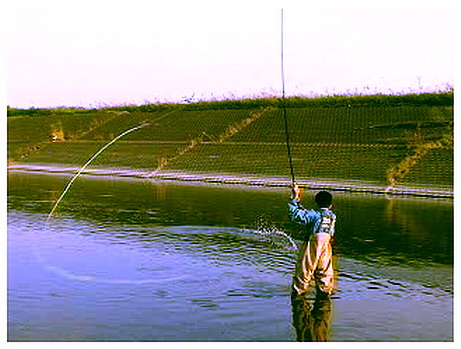 f0084561_12215746.jpg