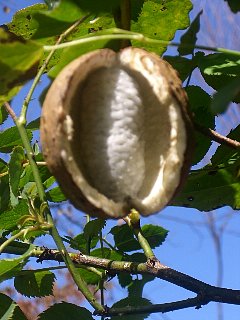 e0017562_18121487.jpg