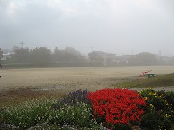 e0041168_12585497.jpg