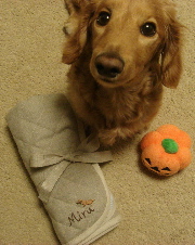f0089568_22301079.jpg