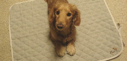 f0089568_2254050.jpg