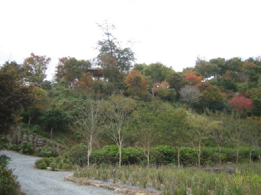 f0085369_21154641.jpg