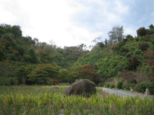f0085369_21163161.jpg