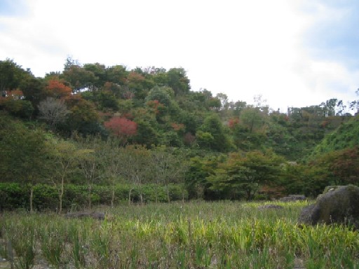 f0085369_2116710.jpg