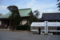 f0059671_2251982.jpg
