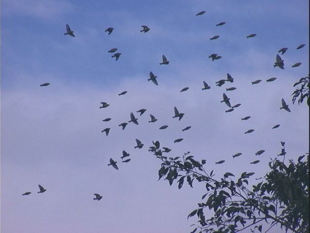 d0020180_18312168.jpg