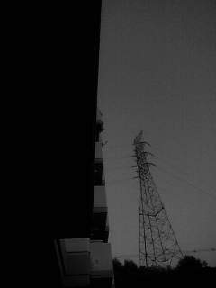 f0100480_1732746.jpg