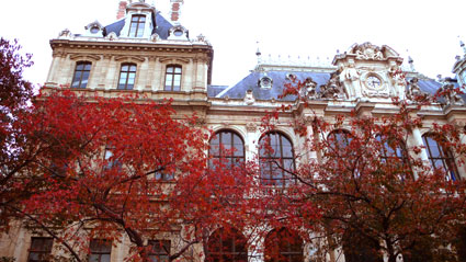 b0107891_213088.jpg
