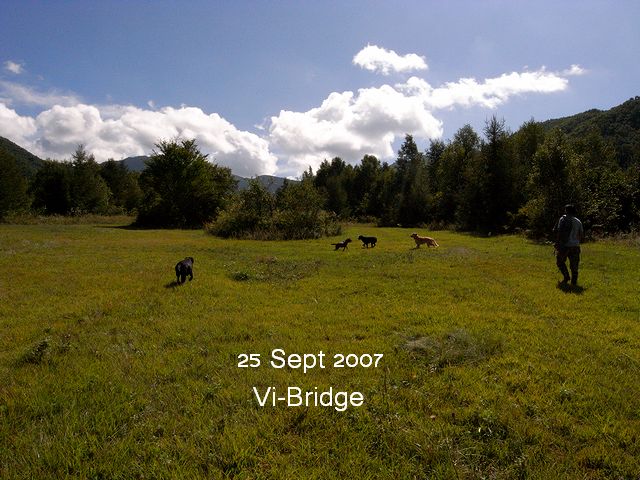 a0093592_1561890.jpg