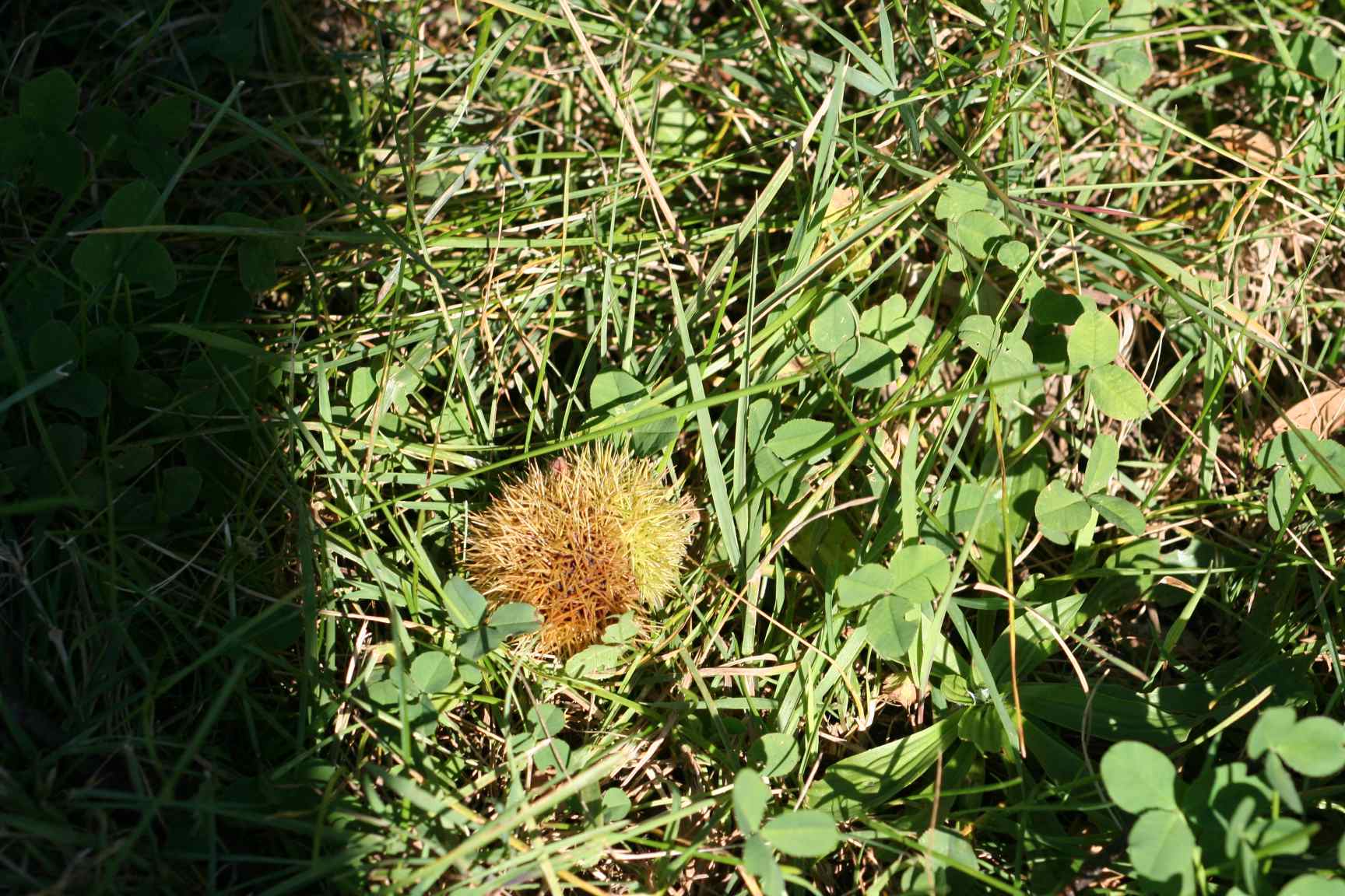 d0096992_1234395.jpg
