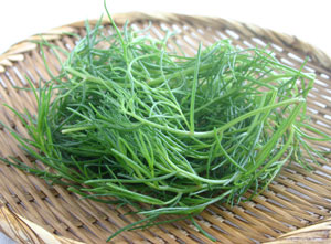 f0038892_0221034.jpg