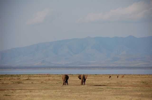 f0000593_242964.jpg