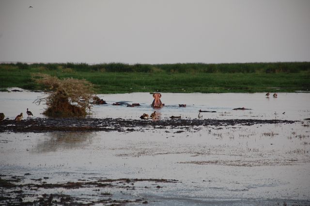 f0000593_26279.jpg